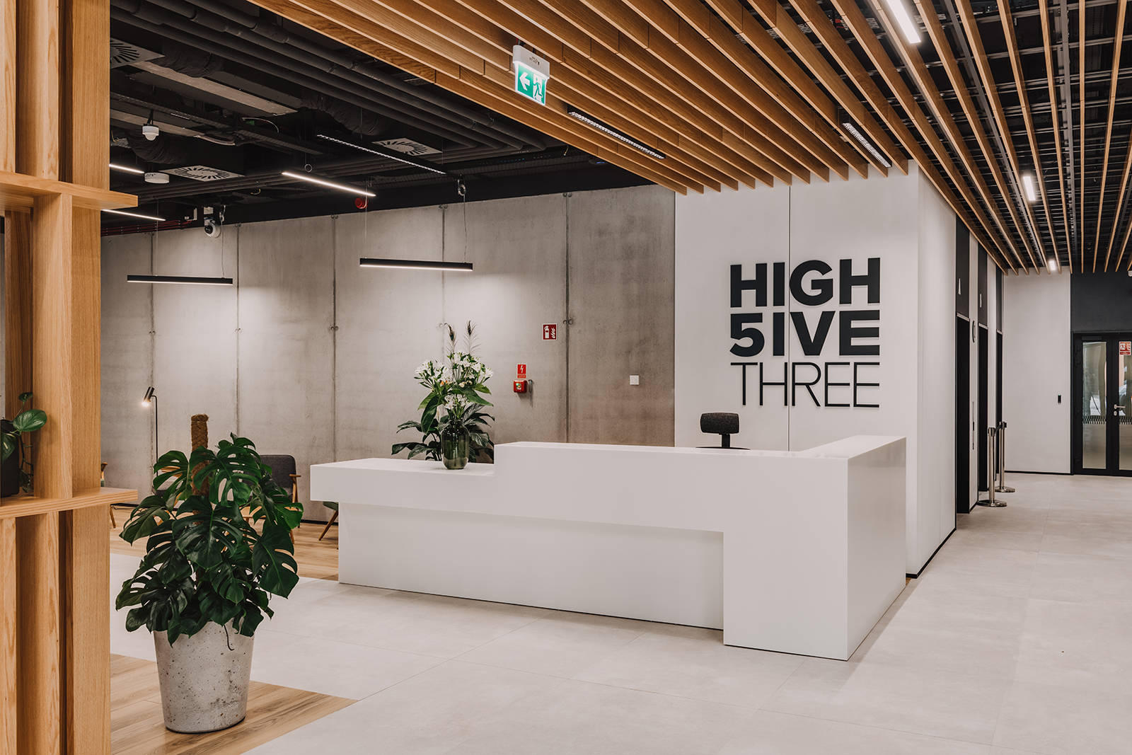High 5ive Hol – widok 5