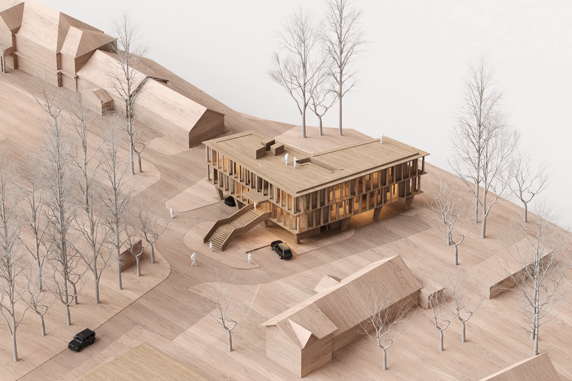 Park Jodły Biuro Fundacji – widok 9