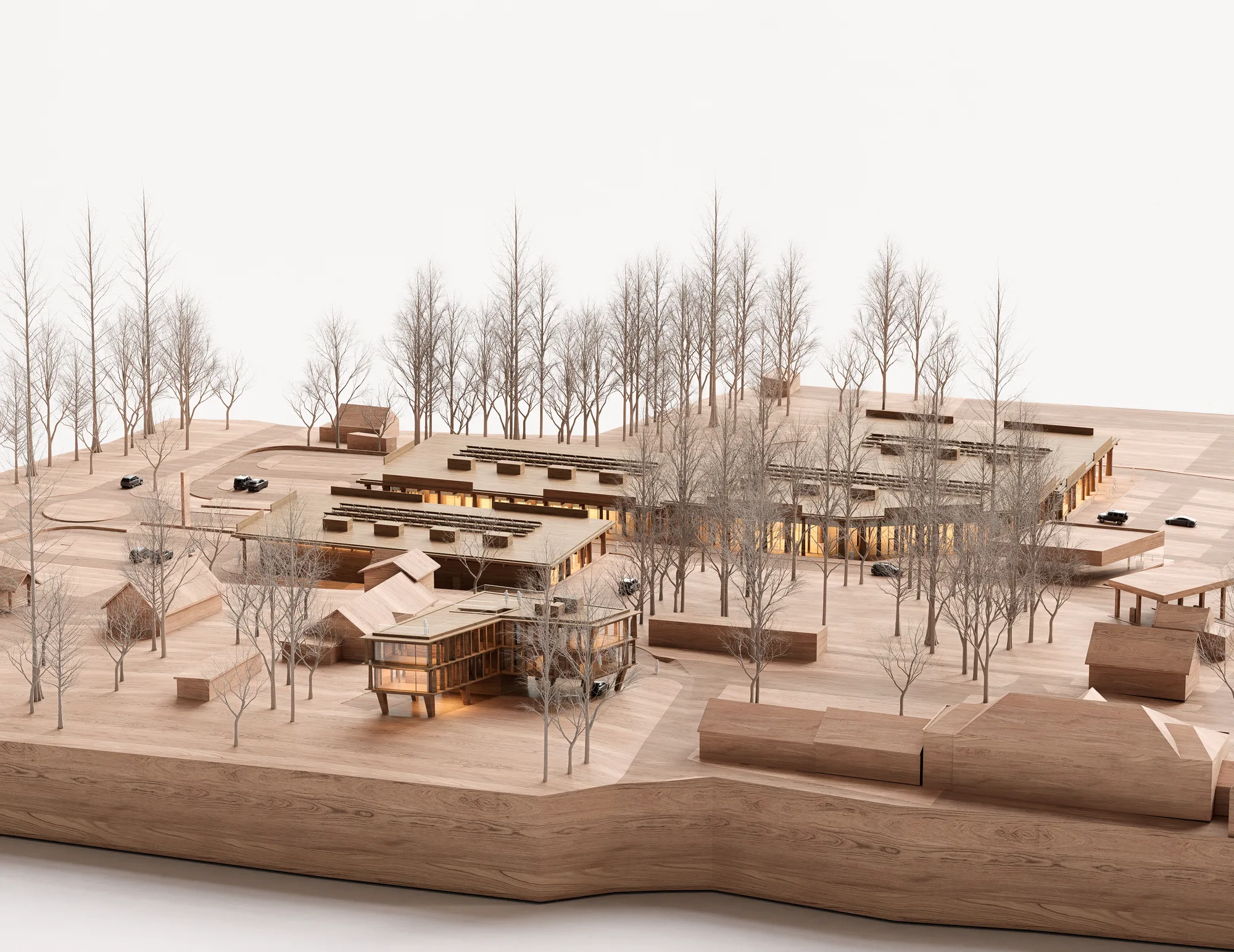Park Jodły Biuro Fundacji – widok 10