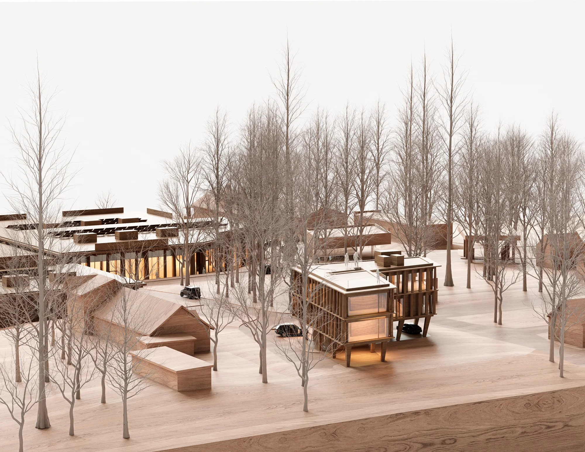 Park Jodły Biuro Fundacji – widok 11